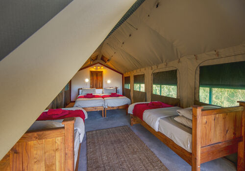 Fully furnished Safari Tent